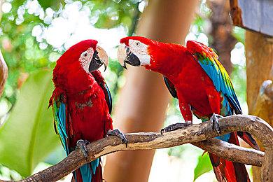 拟真摩托竞速游戏《SBK 22》现已发售 发售日宣传片公布